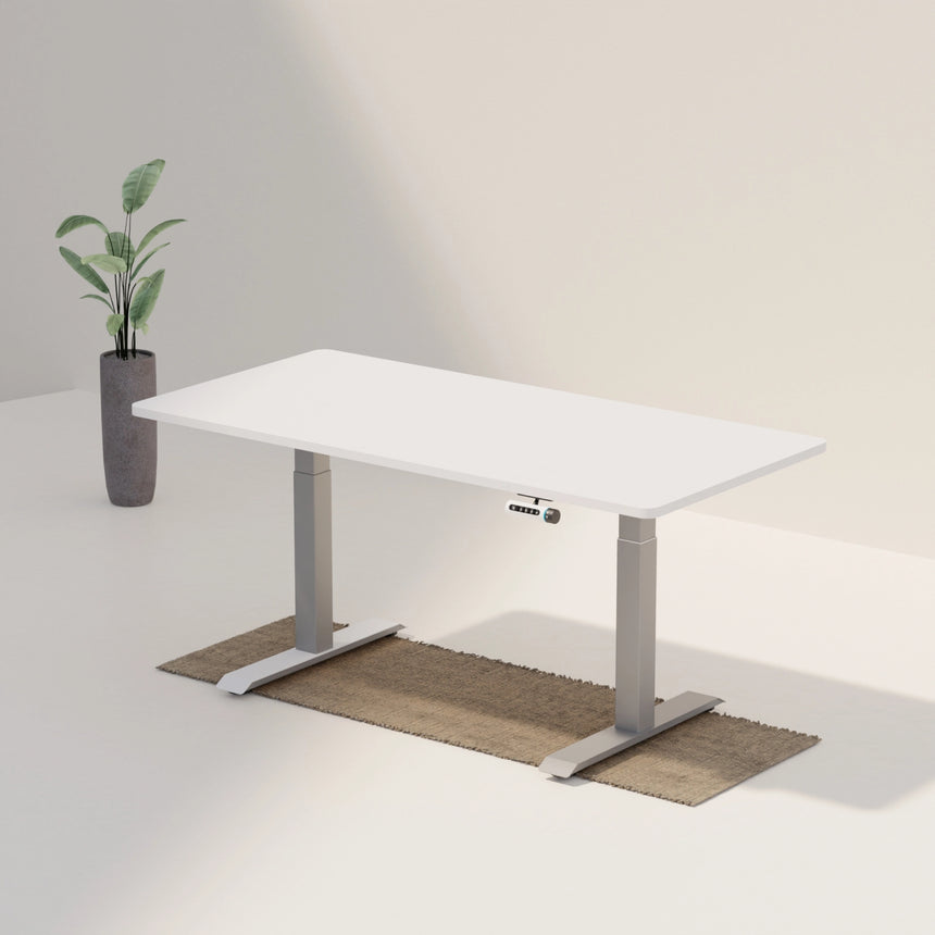 Duo Standing Desk