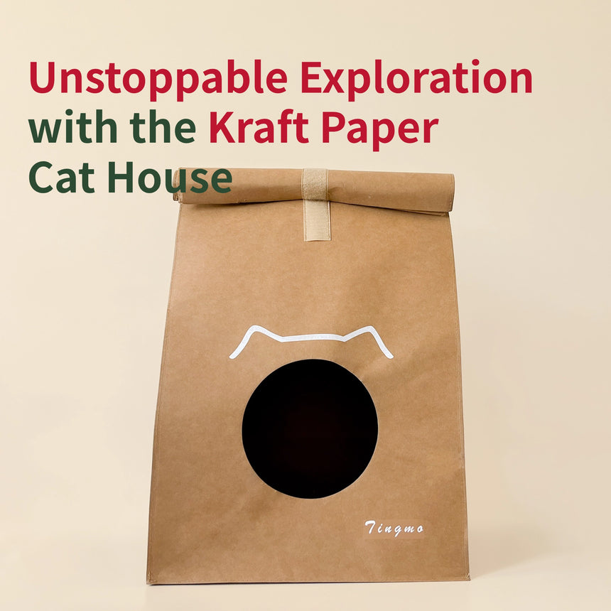 Kraft Paper Cat House