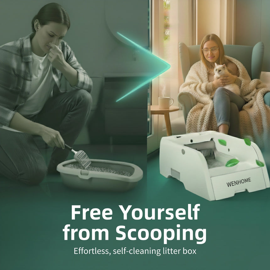 Scoop Free Litter Box