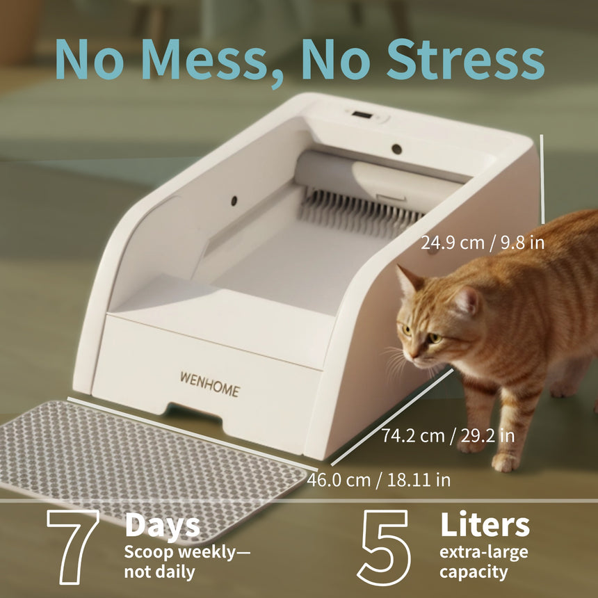 Scoop Free Litter Box