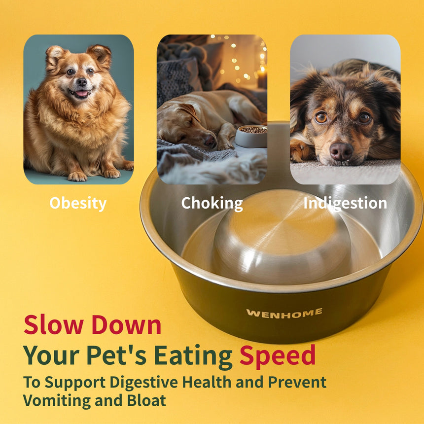 Ultimate Pet Food Bowl Set