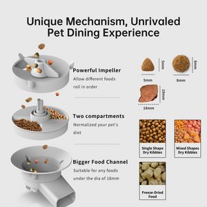 Wenhome Automatic Pet Feeder 3L