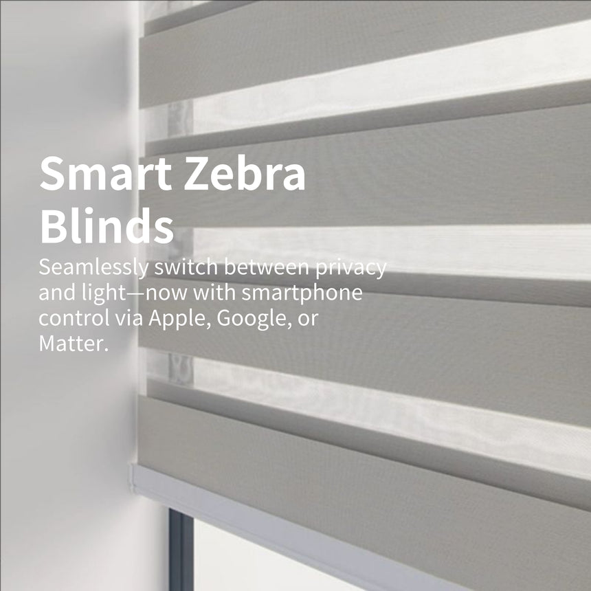 Wenhome Smart Zebra Shades