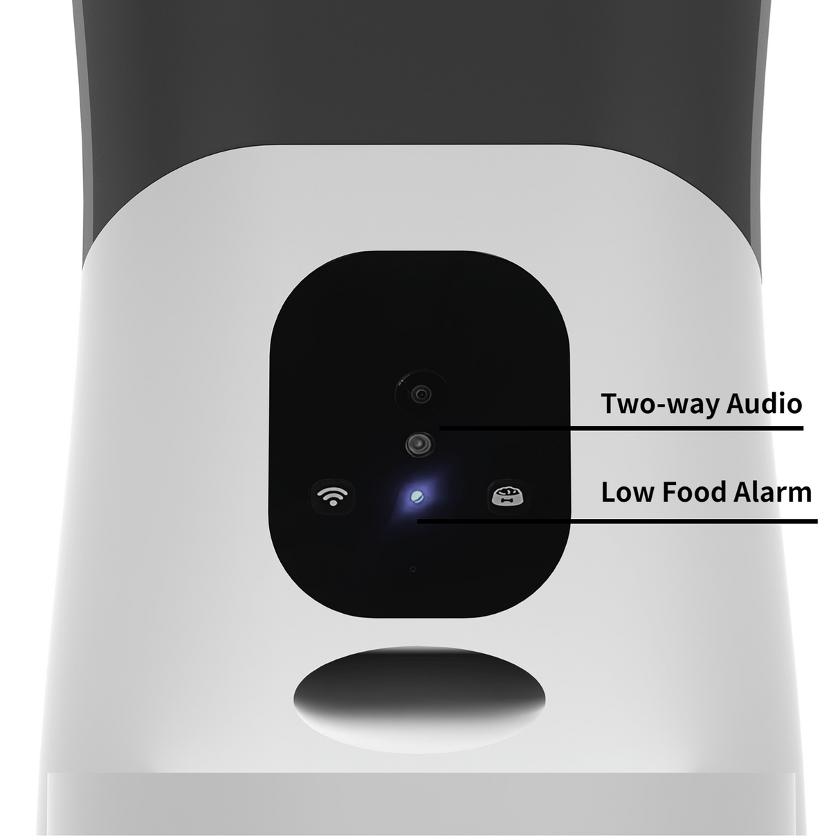 Pet Feeder-Camera