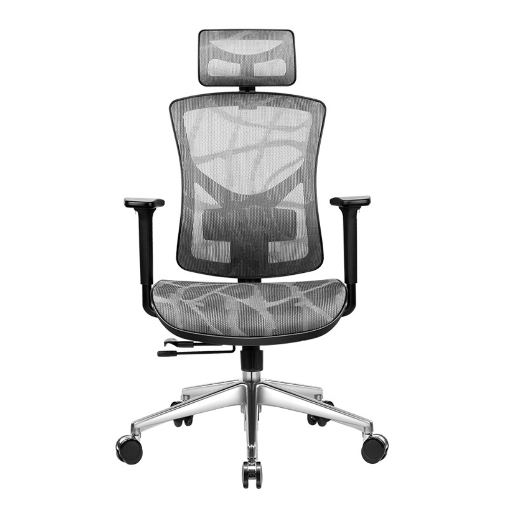 Albany Ergonomic Chair