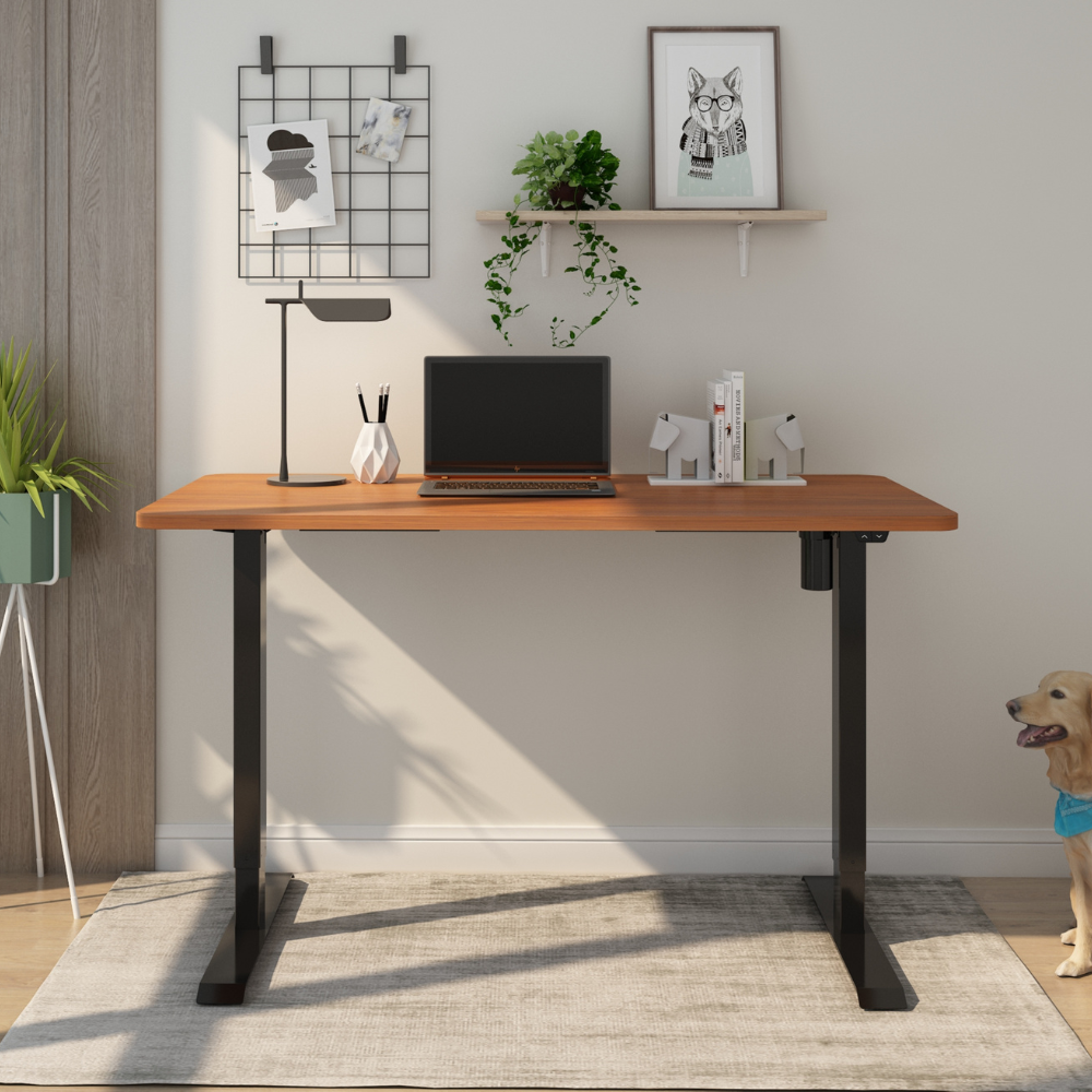 Kama Height Adjustable Standing Desk