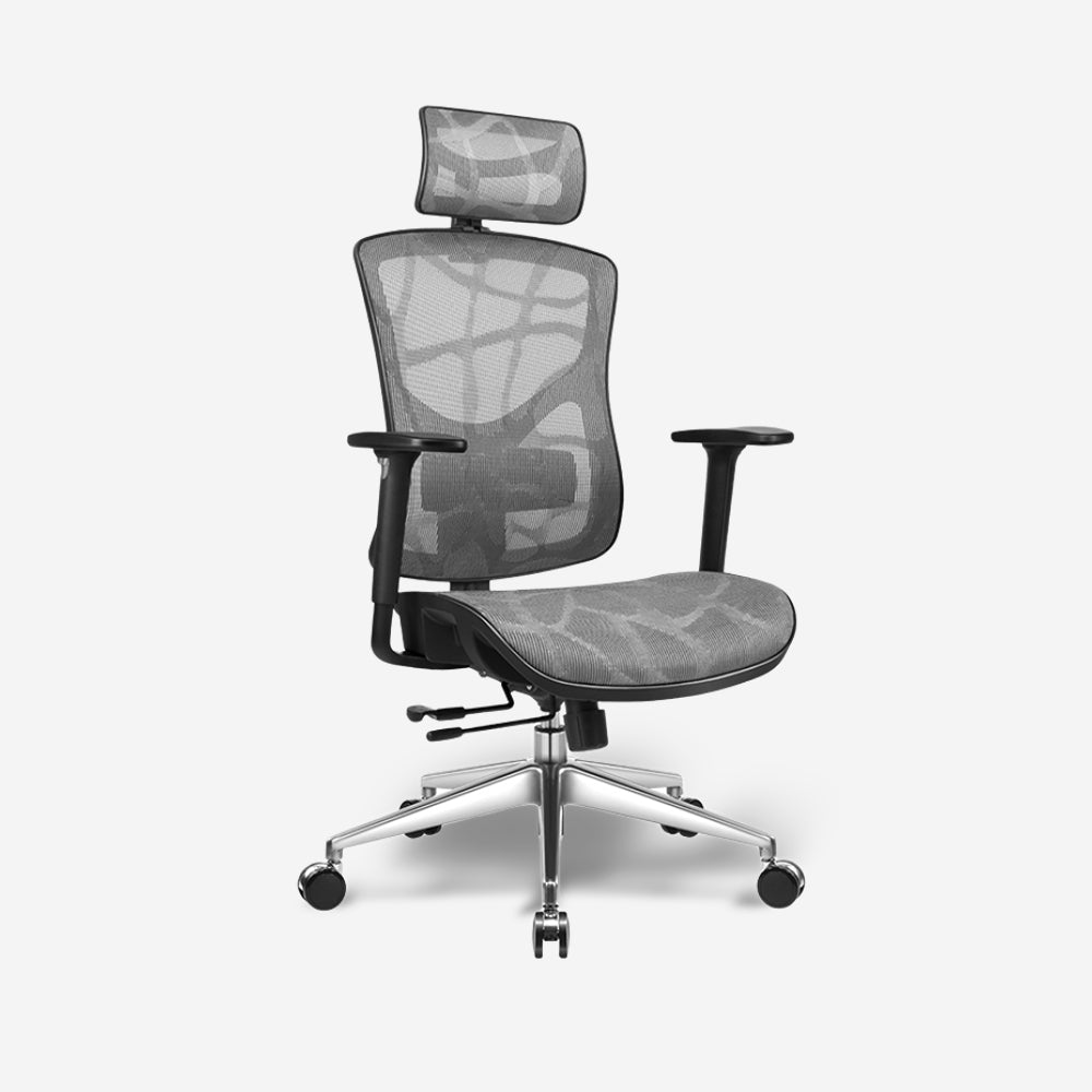 Albany Ergonomic Chair