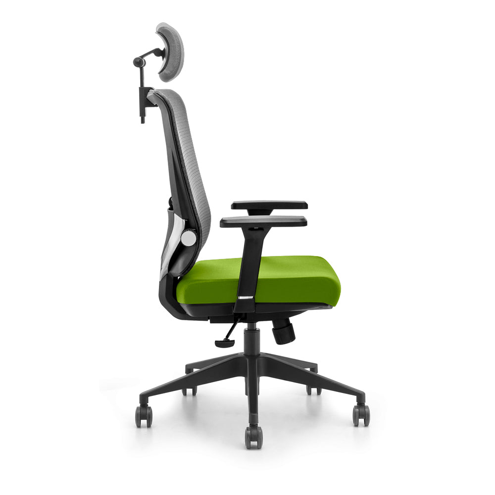 Severn Ergonomic Chair